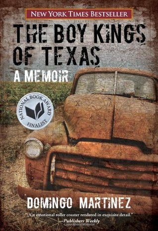 The boy kings of Texas book cover