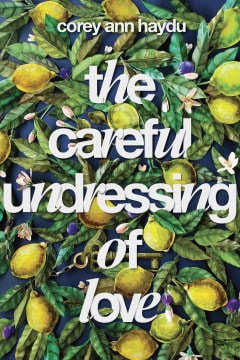 The careful undressing of love book cover