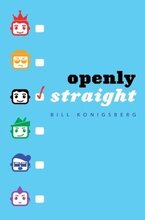 Openly straight book cover
