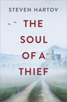 The soul of a thief book cover