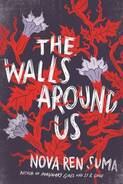 The walls around us book cover