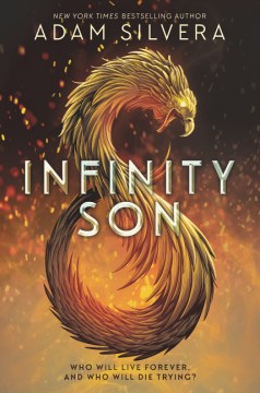 Infinity son book cover