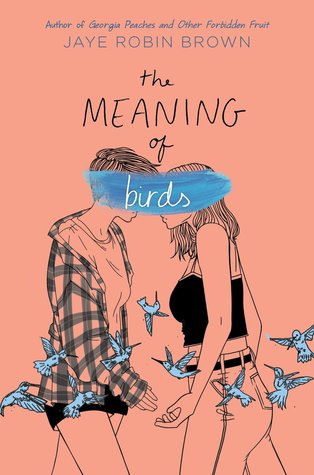 The meaning of birds book cover