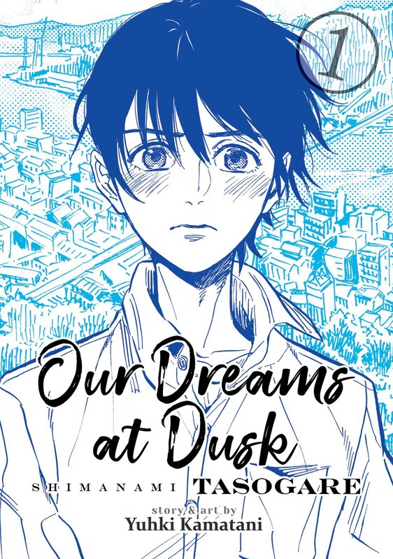 Our dreams at dusk book cover