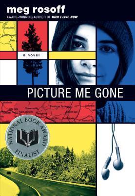 Picture me gone book cover