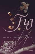 Fig book cover