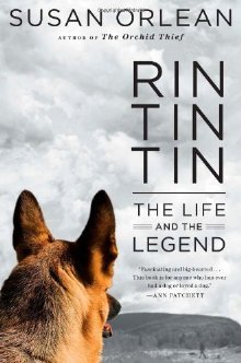 Rin tin tin book cover