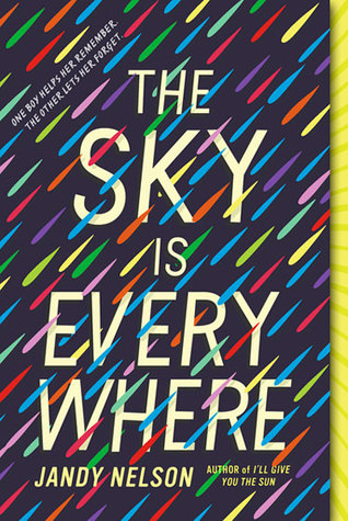 The sky is everywhere book cover