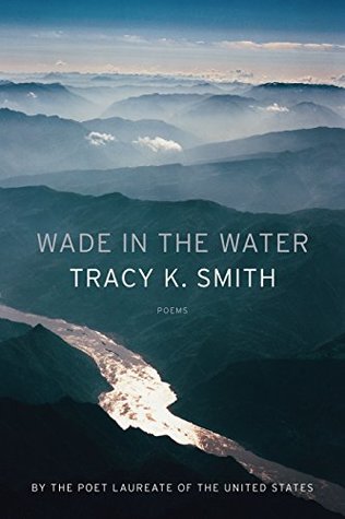 Wade in the water book cover